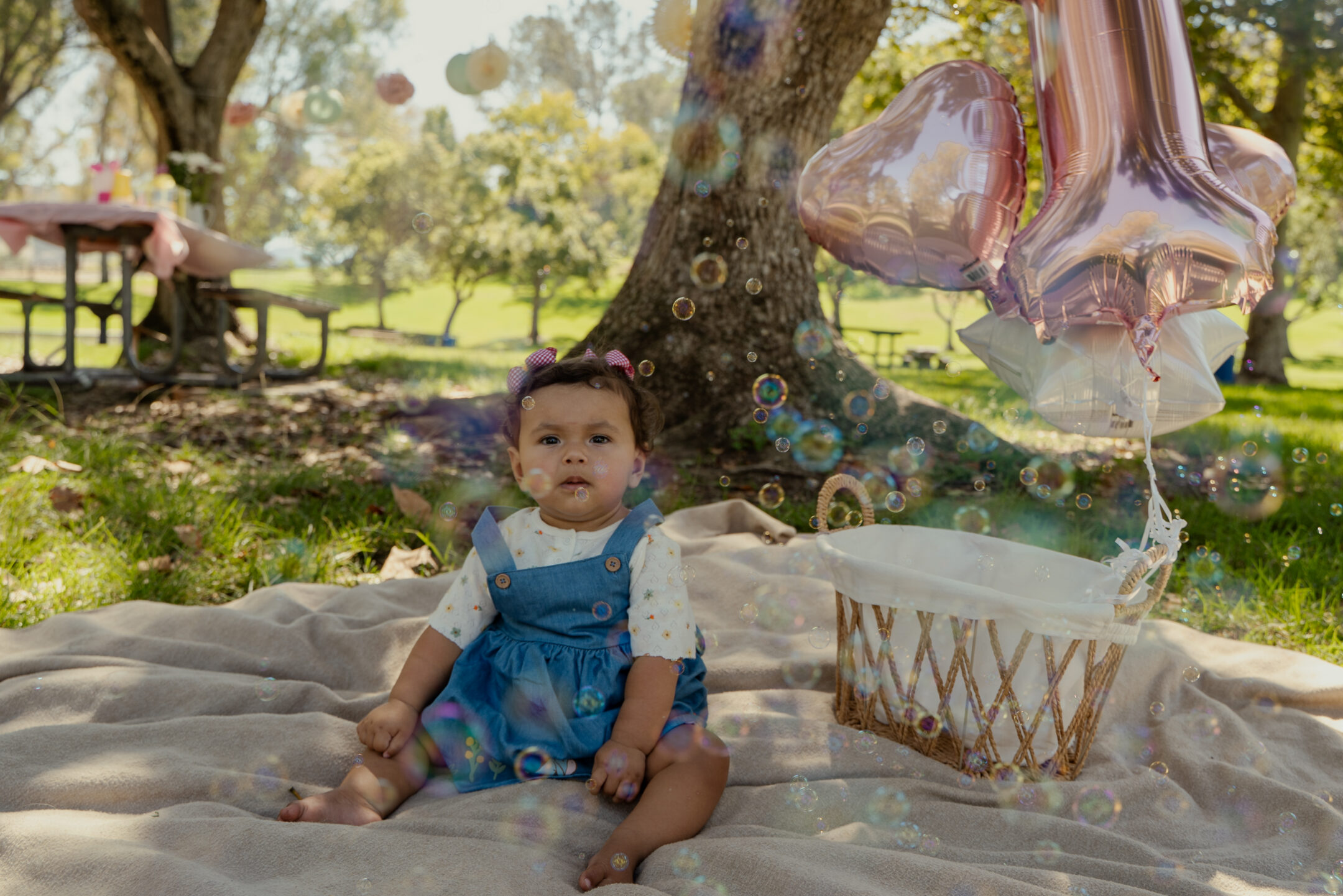 Charlotte’s 1st Birthday